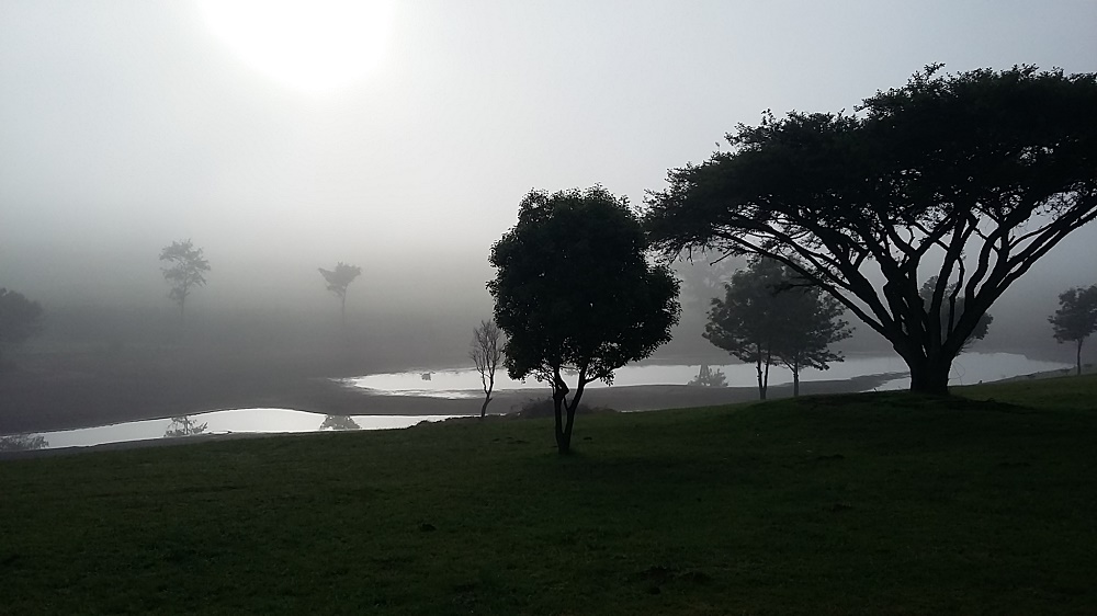 Misty Dawn in Mpumalanga